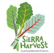 31 Sierra Harvst logo