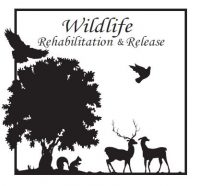 wildlife-rehab